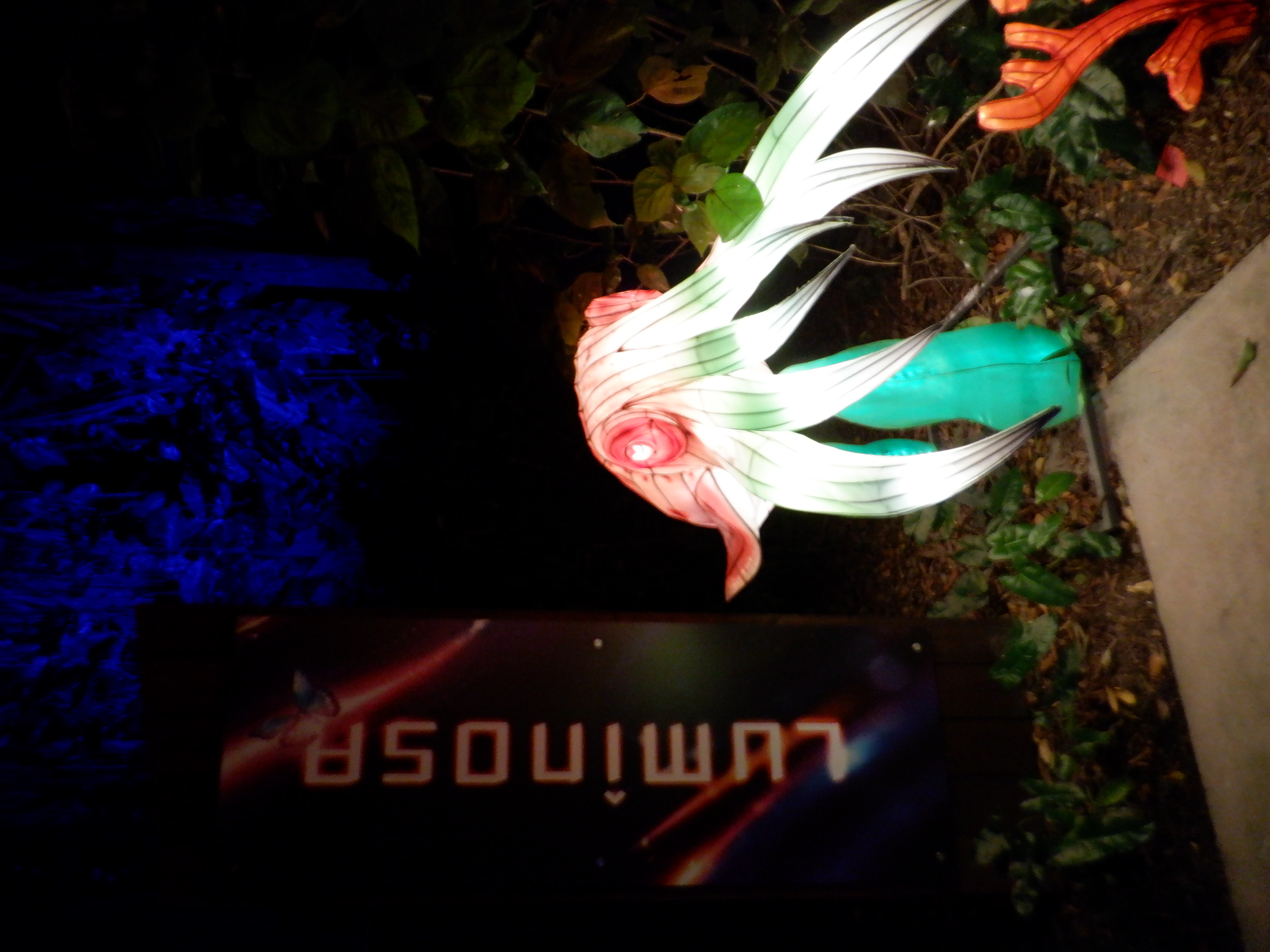 ./2019/14 - Miami/DSCF0432.JPG